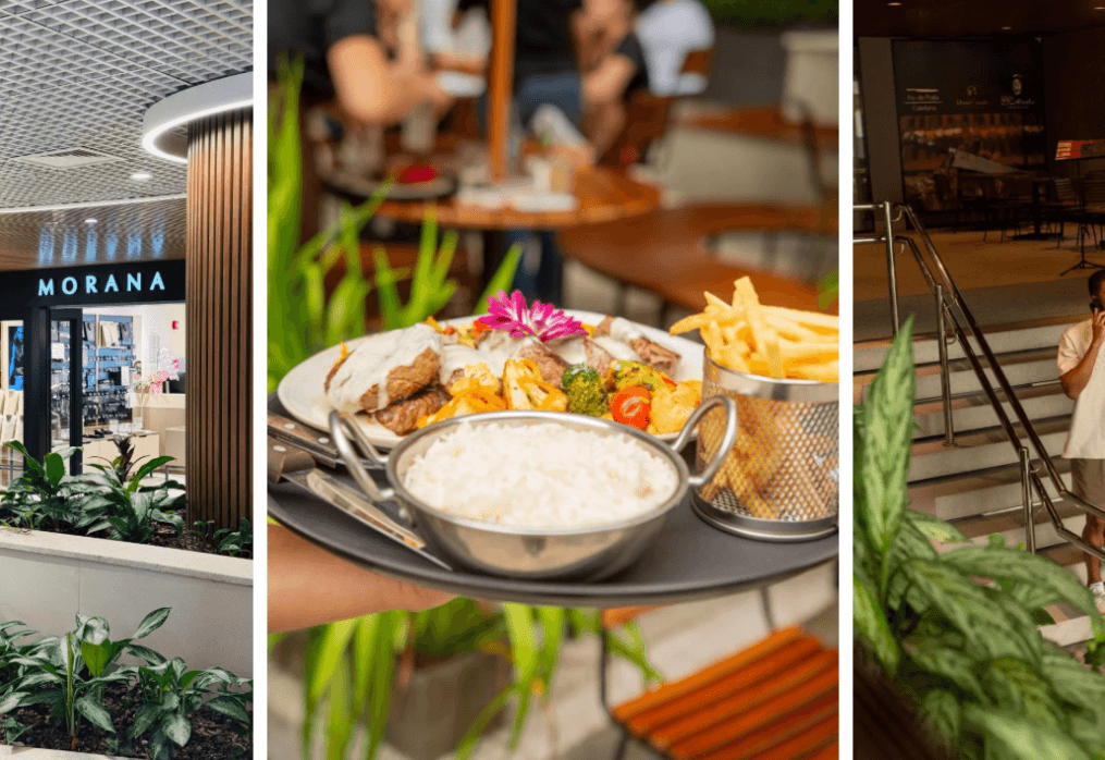 Shopping H de Blumenau ganha novo site institucional desenvolvido pela NVX